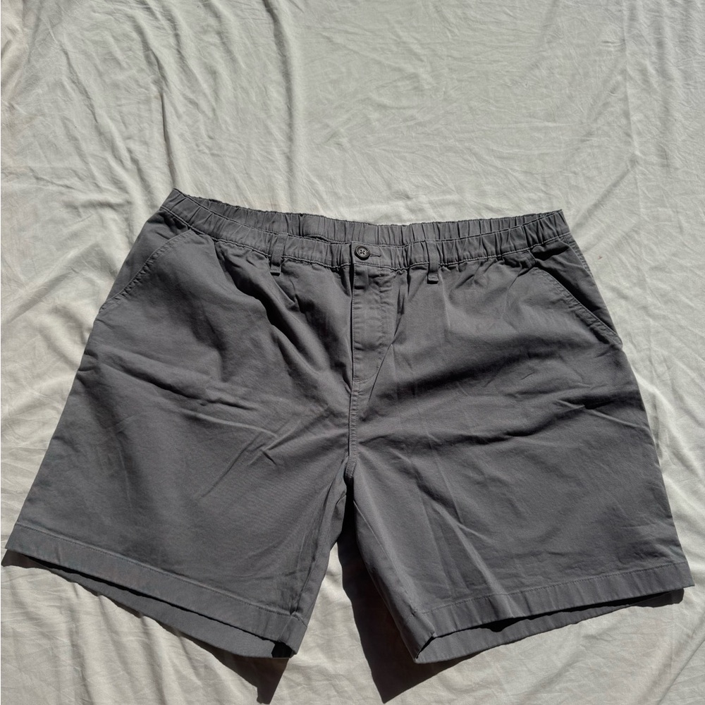 Gray Mens Chubbies Shorts